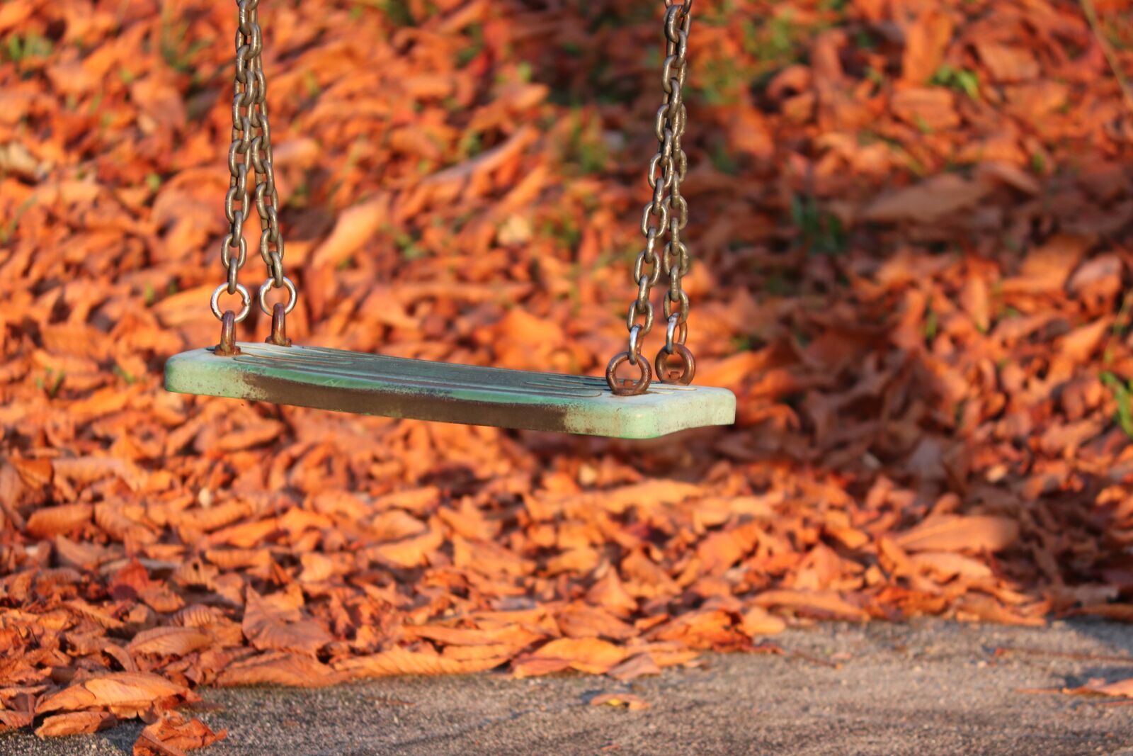 Canon EOS 200D (EOS Rebel SL2 / EOS Kiss X9) sample photo. Swing, children, playground photography