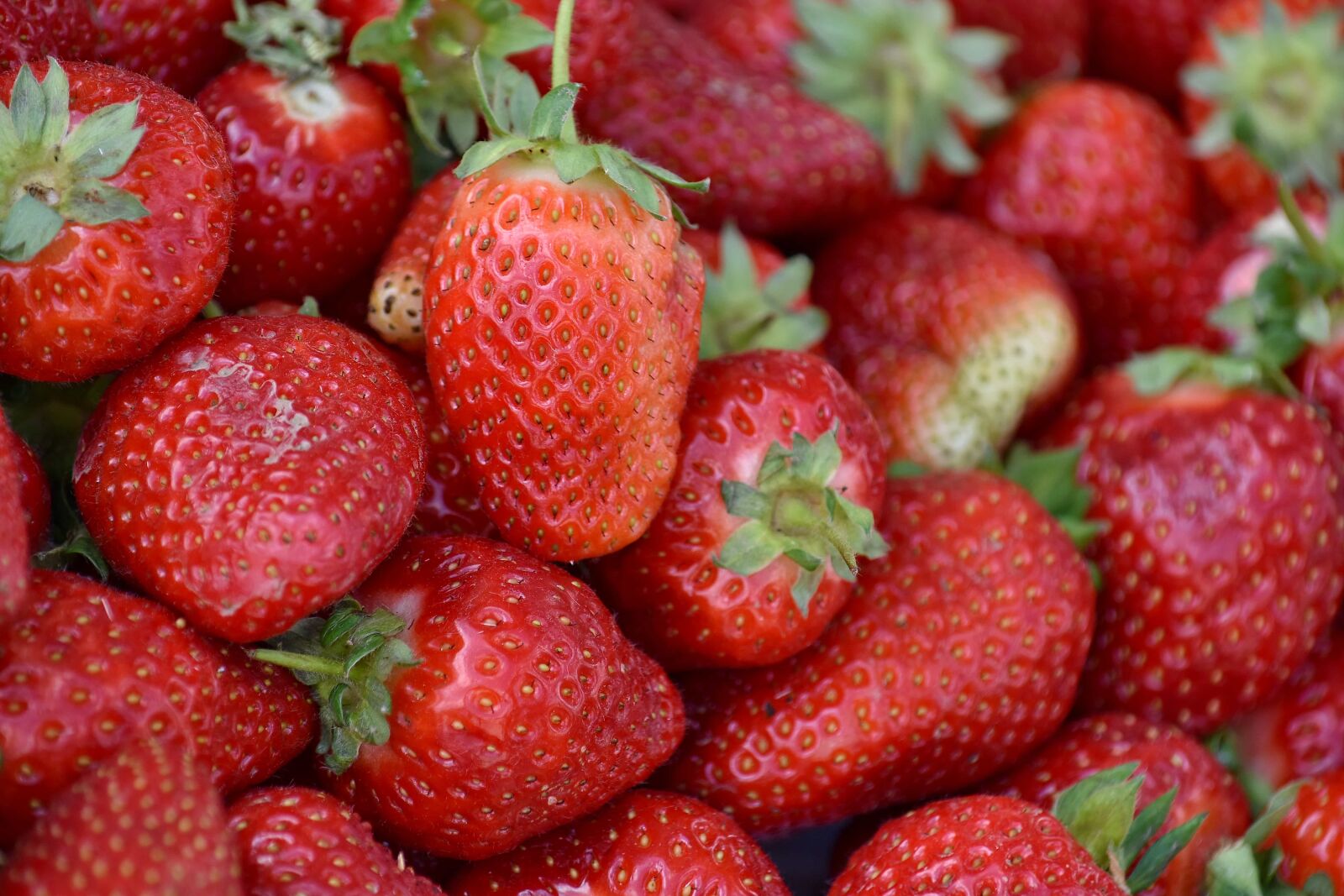 Nikon D5500 sample photo. Health, strawberries, fruit, delicious photography