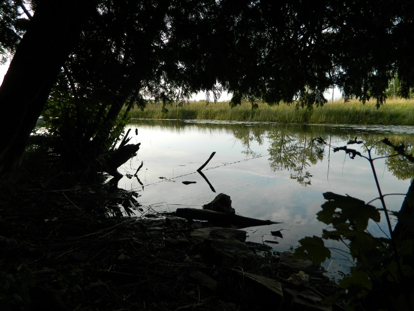 Nikon Coolpix L120 sample photo. Nature, idyll, idyllic photography