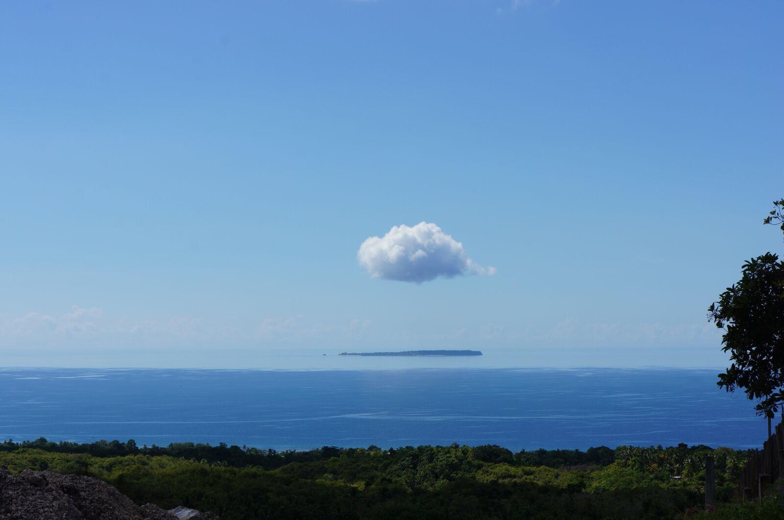 Sony Alpha NEX-5N sample photo. Nature, himmel, summer photography