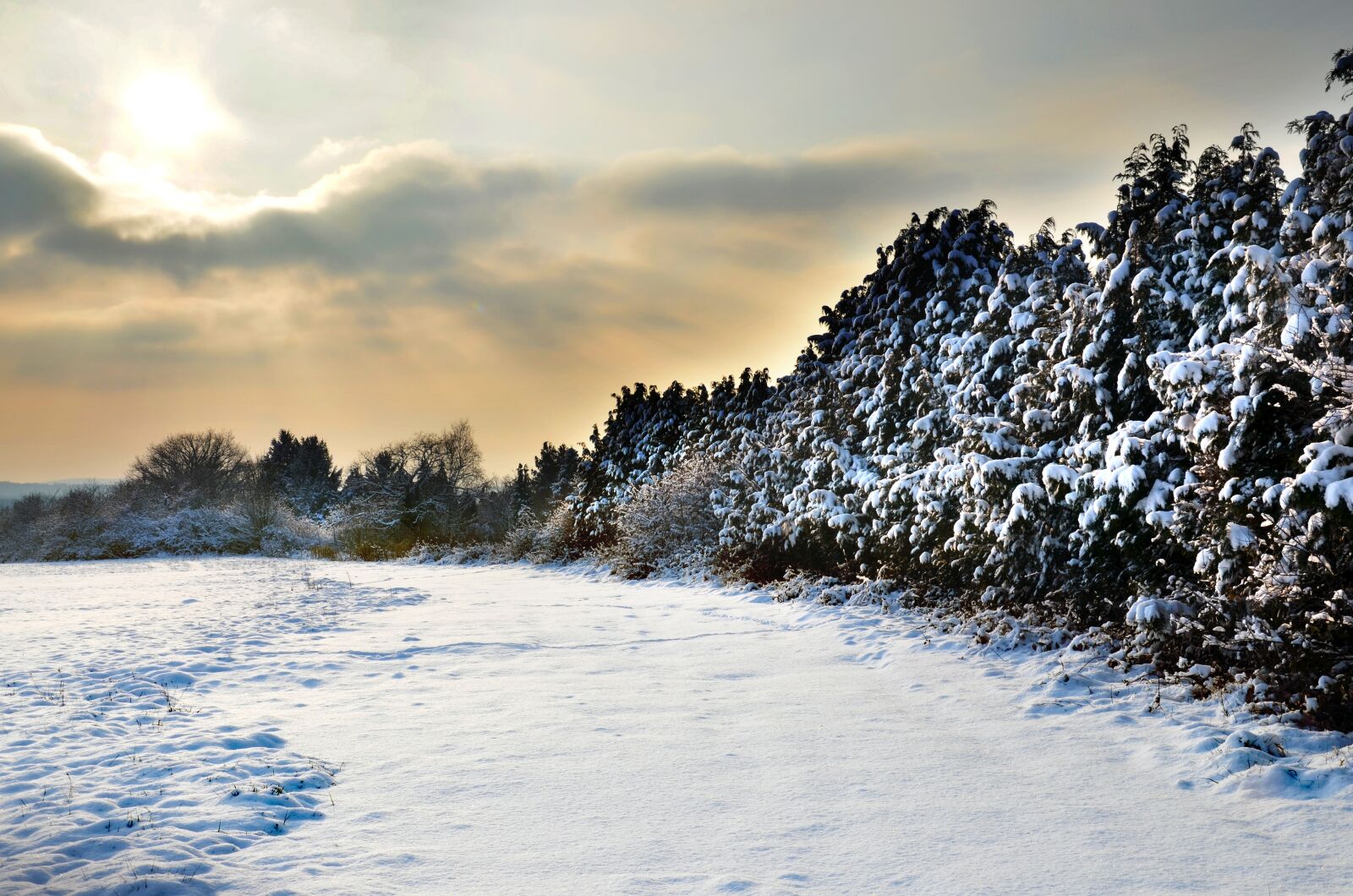 Nikon D5100 sample photo. Countryside, snow, winter photography