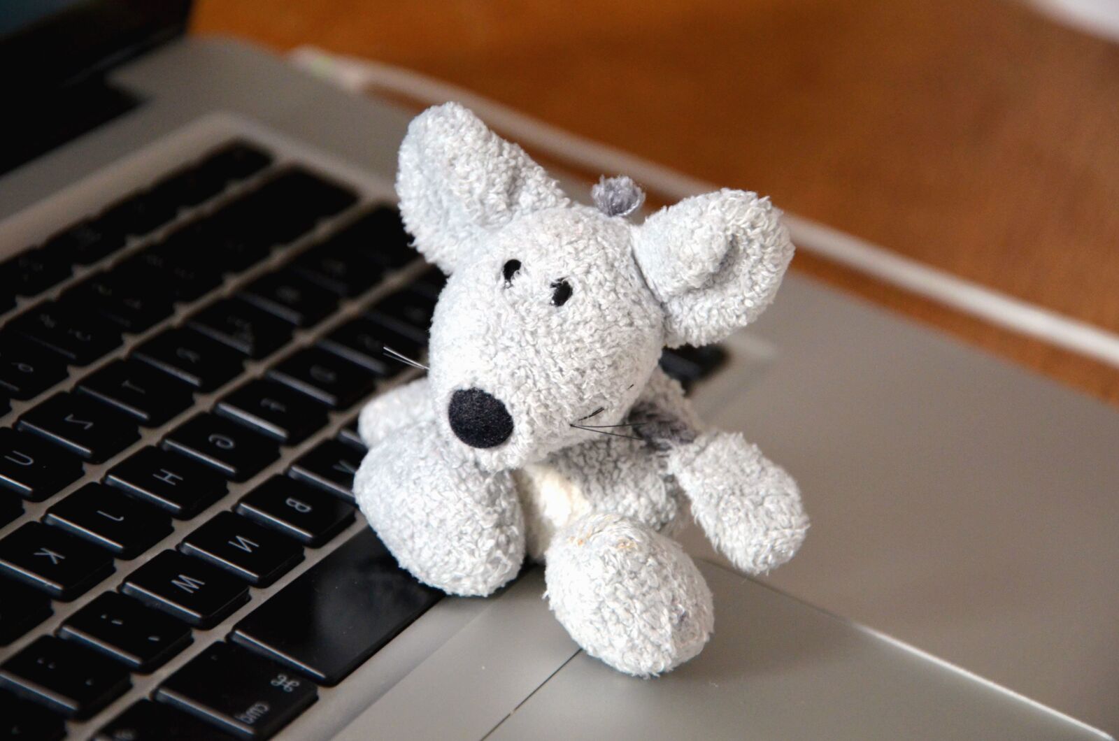 Nikon D5100 sample photo. Computer keyboard, toy, technology photography