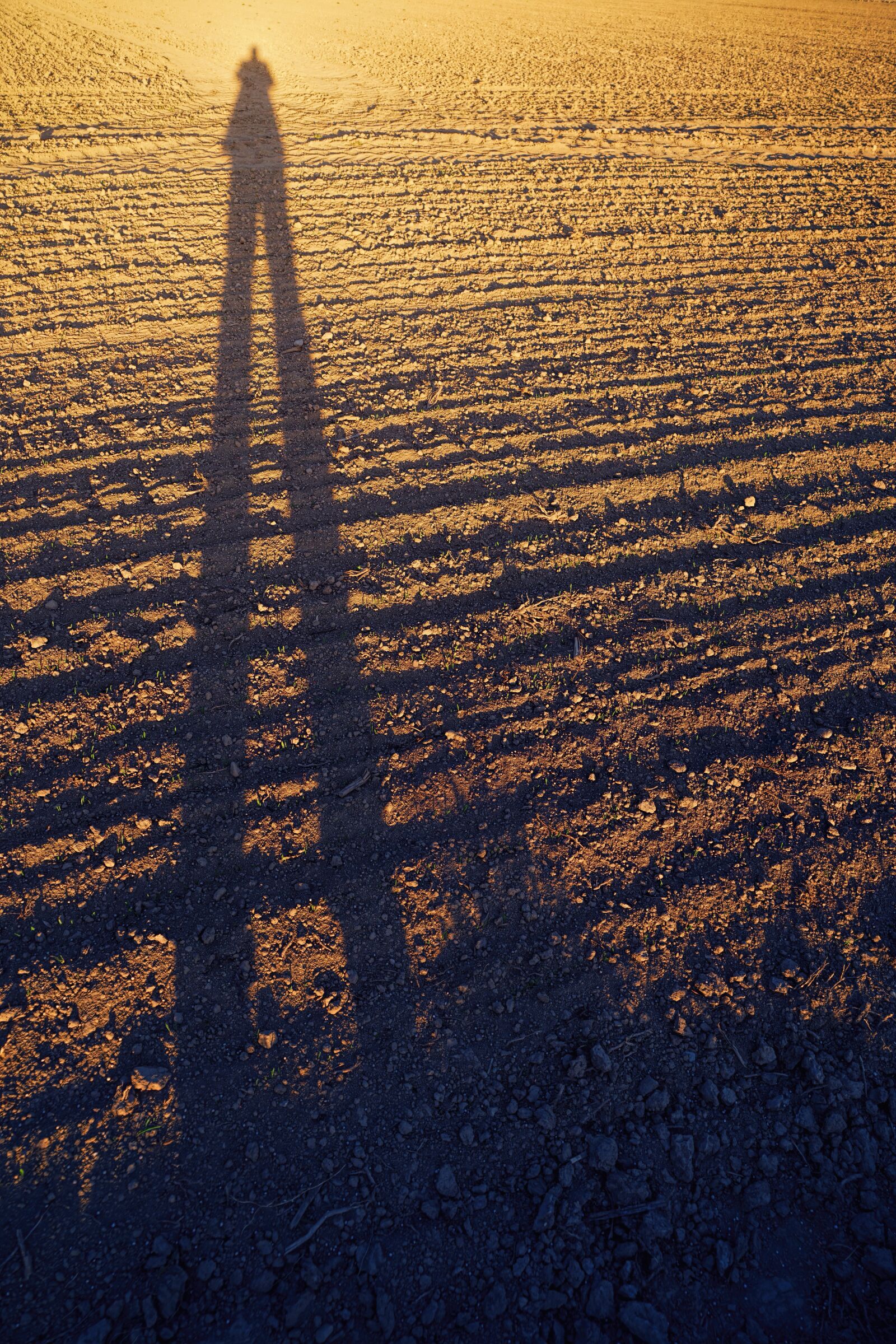 Sony a7 II + Sony FE 24-240mm F3.5-6.3 OSS sample photo. Ground, shadow, person photography