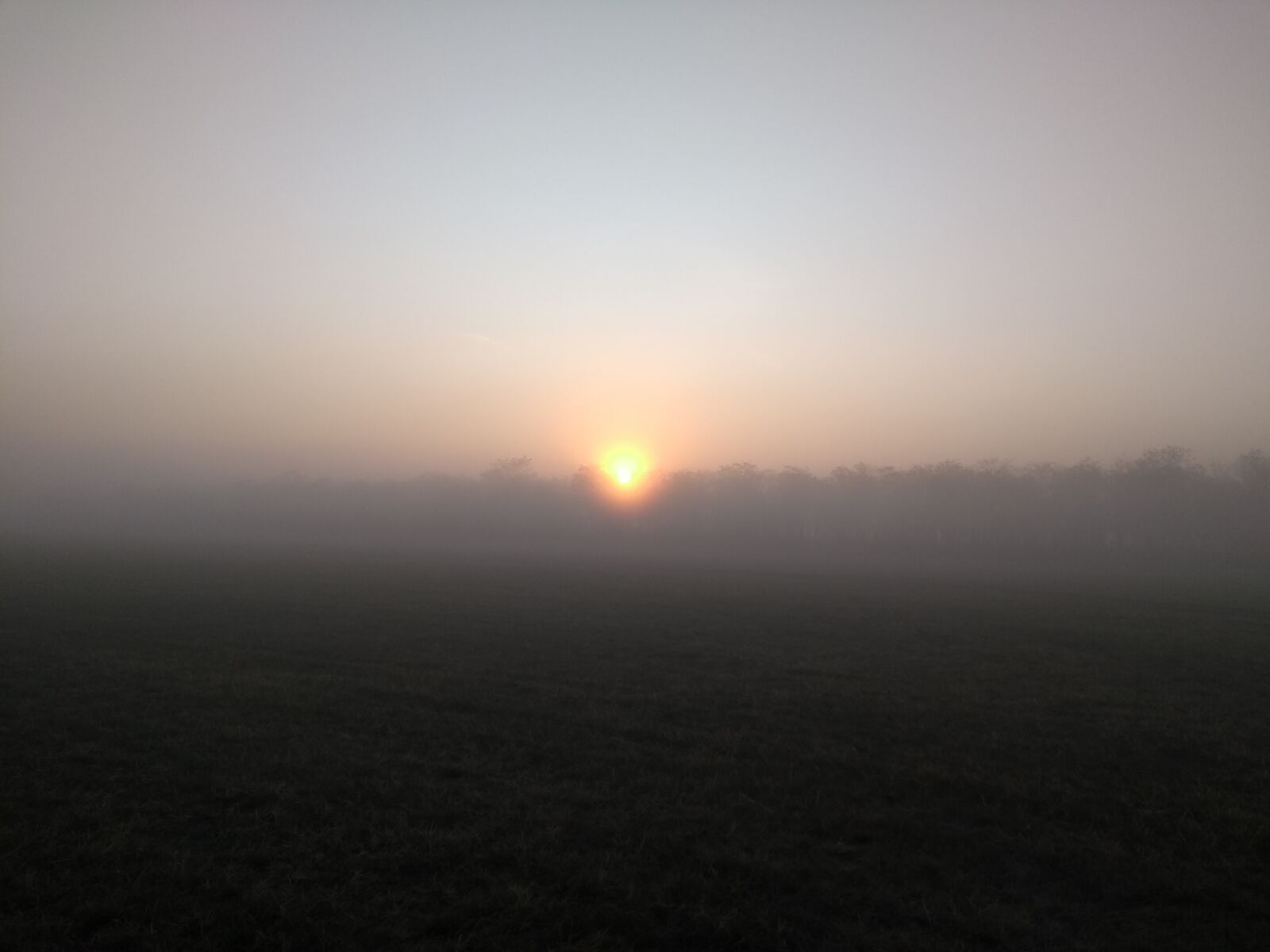 Motorola Moto G (5) sample photo. Dawn, fog, nature photography