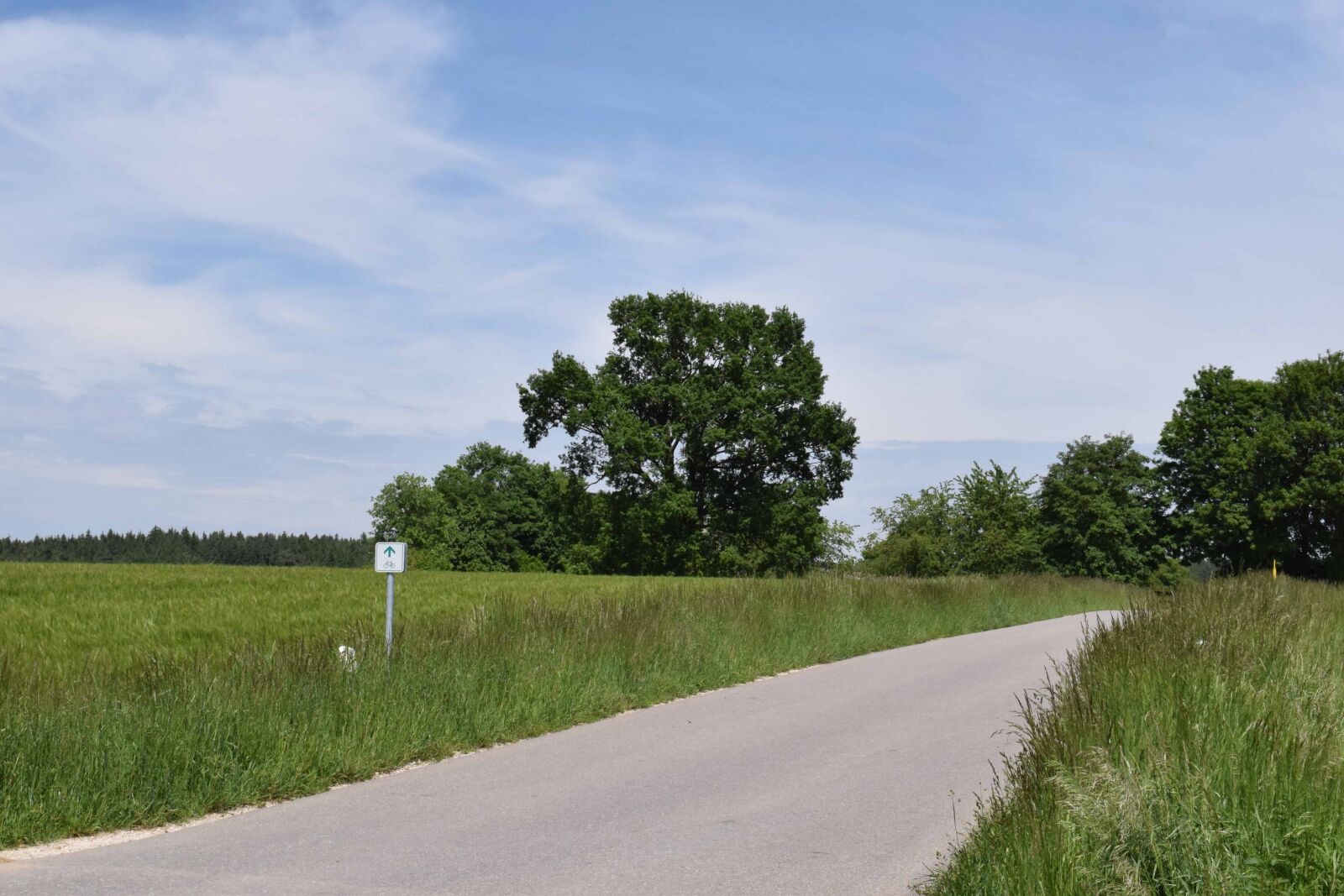 Nikon D3300 sample photo. Landscape, nature, road, field photography