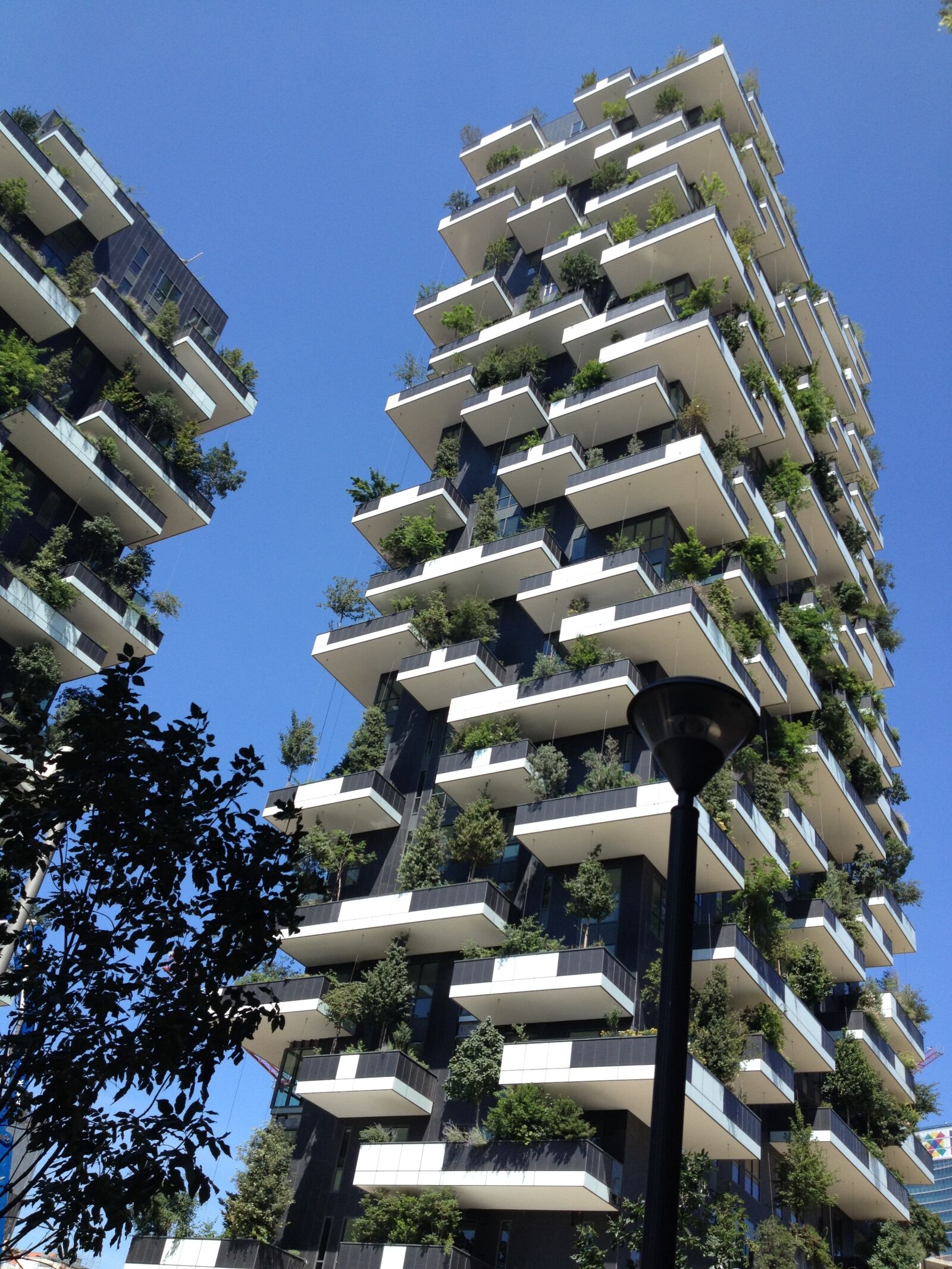 iPhone 4S back camera 4.28mm f/2.4 sample photo. Vertical forest, milan, island photography