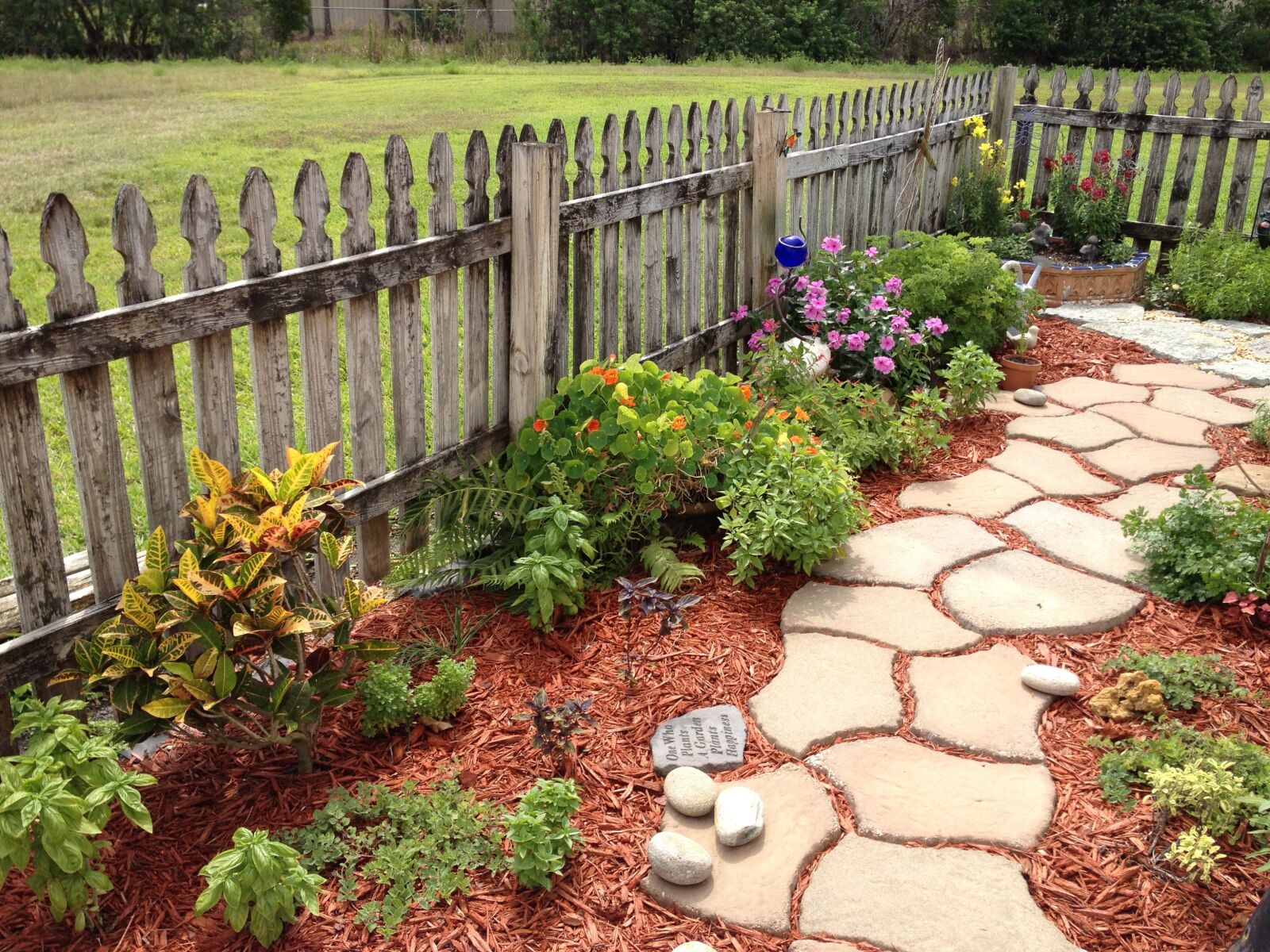 Apple iPhone 4S sample photo. Garden, path, herb photography