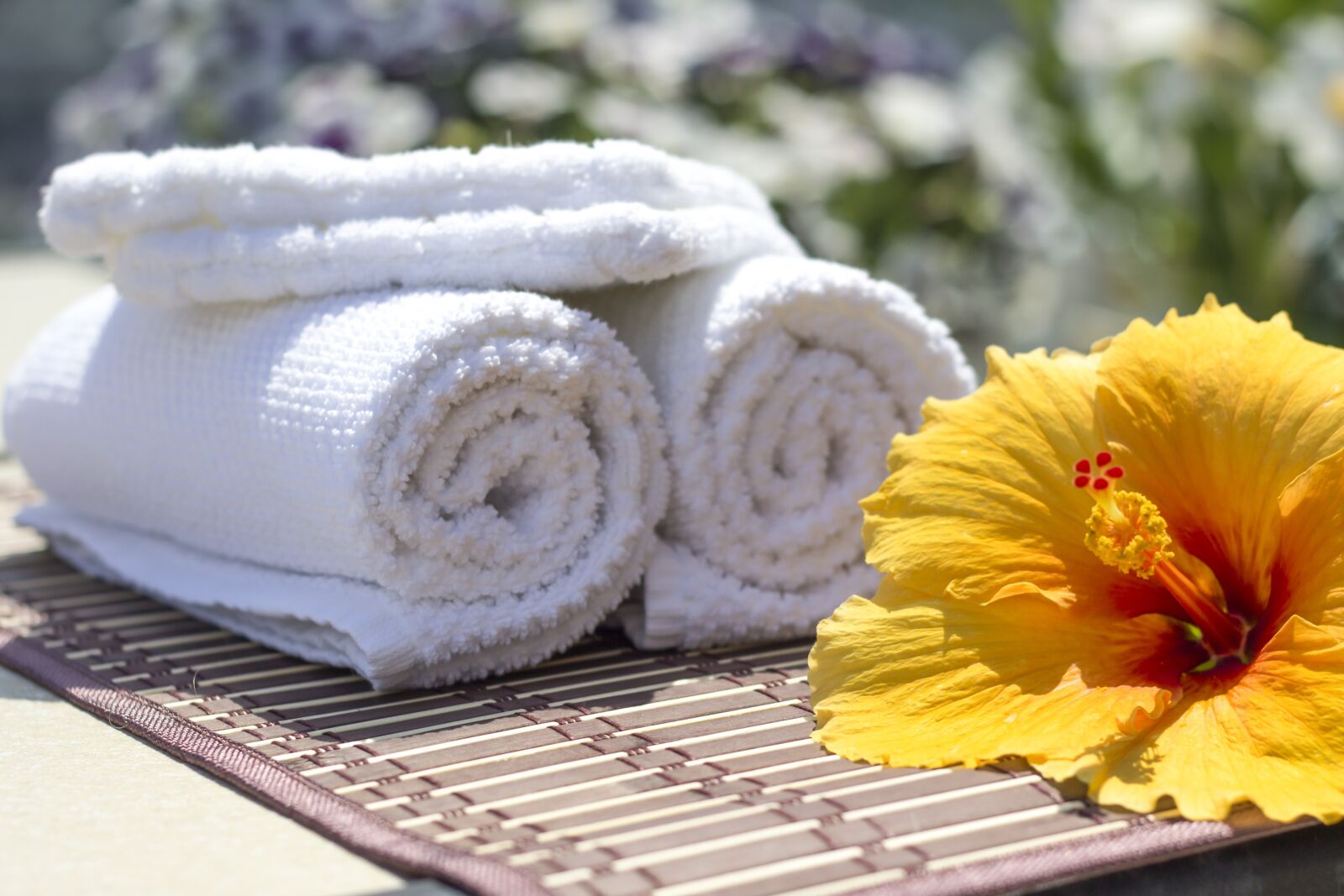 Canon EOS 600D (Rebel EOS T3i / EOS Kiss X5) + Canon EF 50mm F1.8 II sample photo. Towel, hibiscus, clean photography