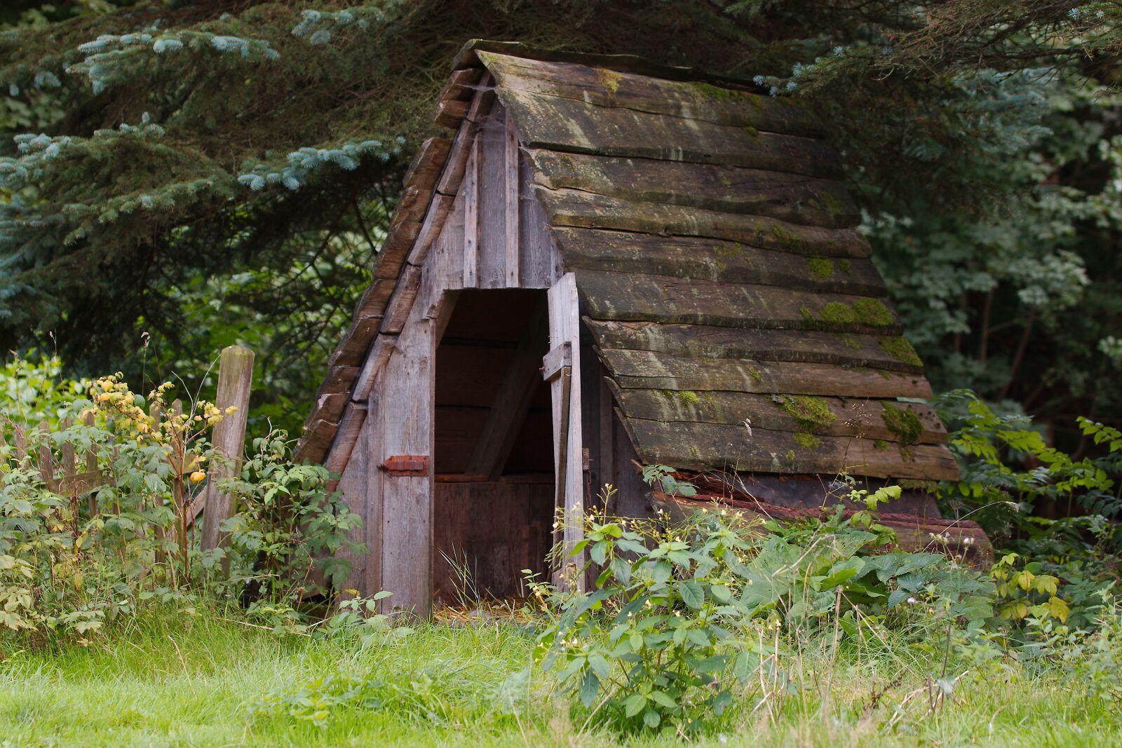 Canon EOS 70D sample photo. Wood, barn, rustic photography