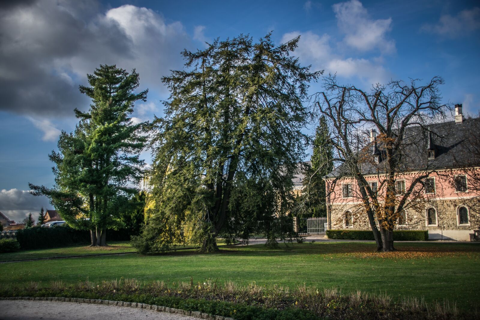 Nikon D5300 sample photo. Trees, park, castle photography