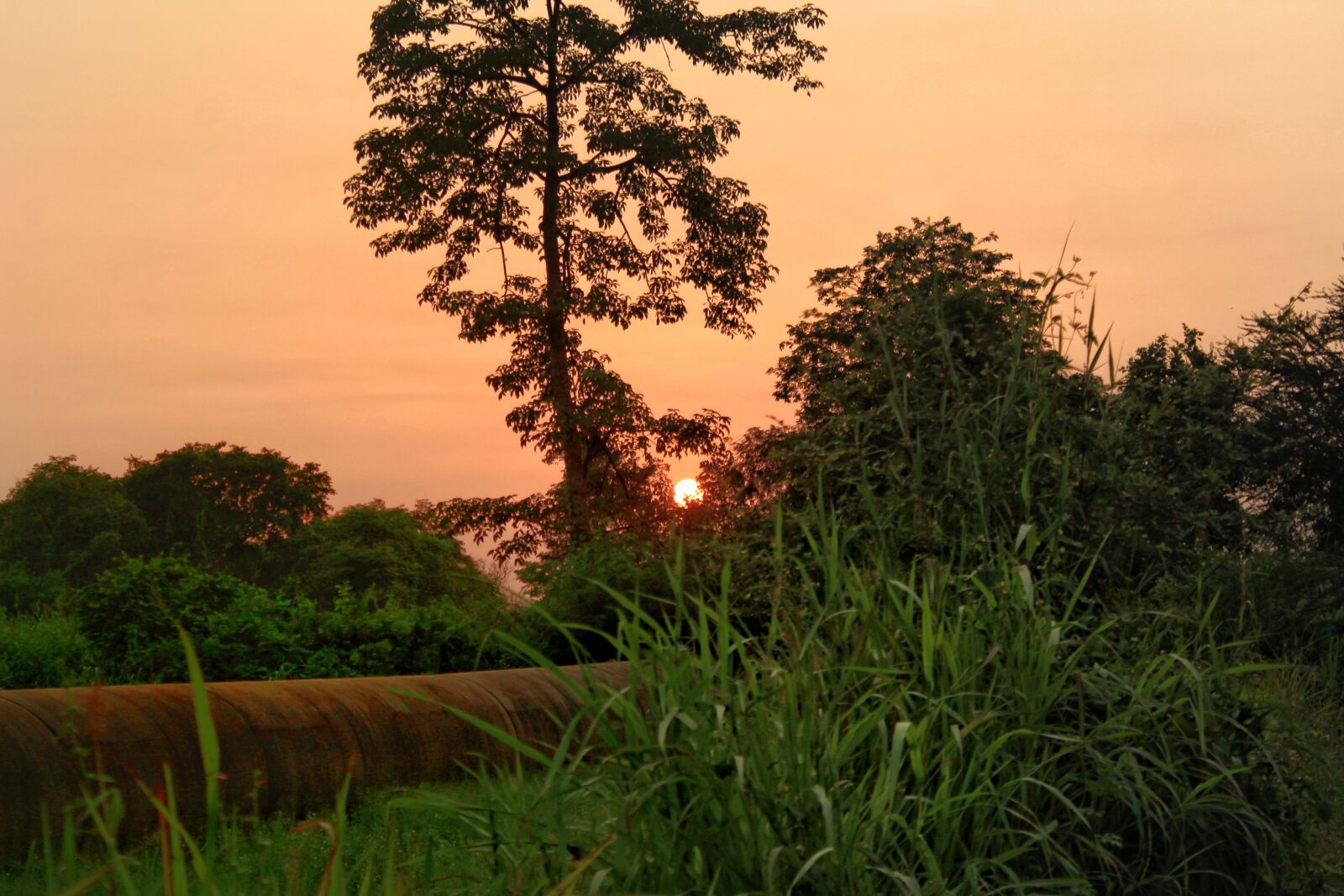 Canon EOS 1300D (EOS Rebel T6 / EOS Kiss X80) sample photo. Sunset, nature, orange photography