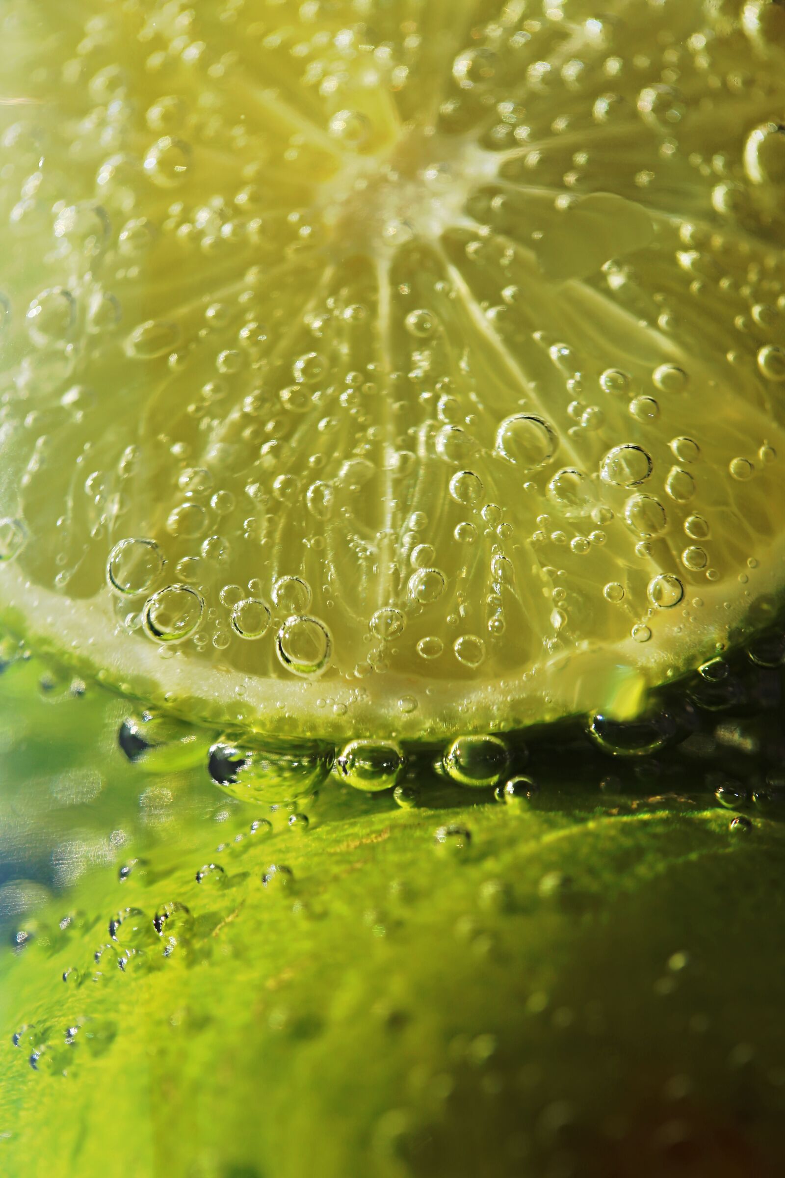 Canon EF 100mm F2.8L Macro IS USM sample photo. Lime, fruit, citrus photography