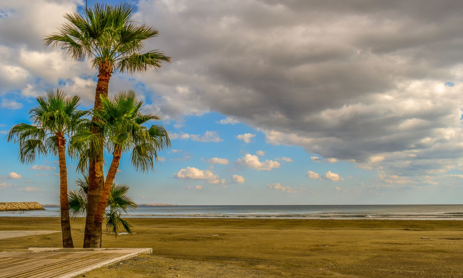Nikon D3300 sample photo. Beach, palm trees, sky photography