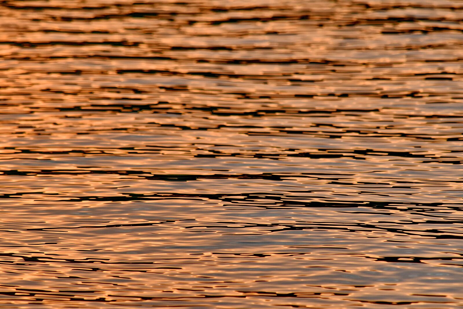 Nikon D5500 sample photo. Calm, horizon, landscape, sunrays photography
