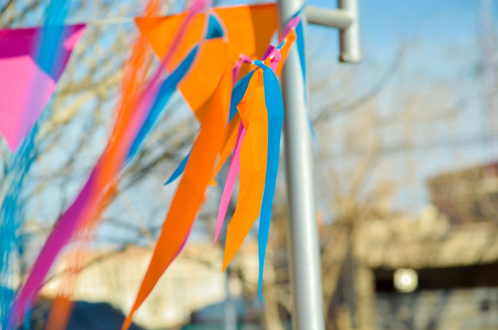 Nikon D7000 sample photo. Banderin, colors, color photography