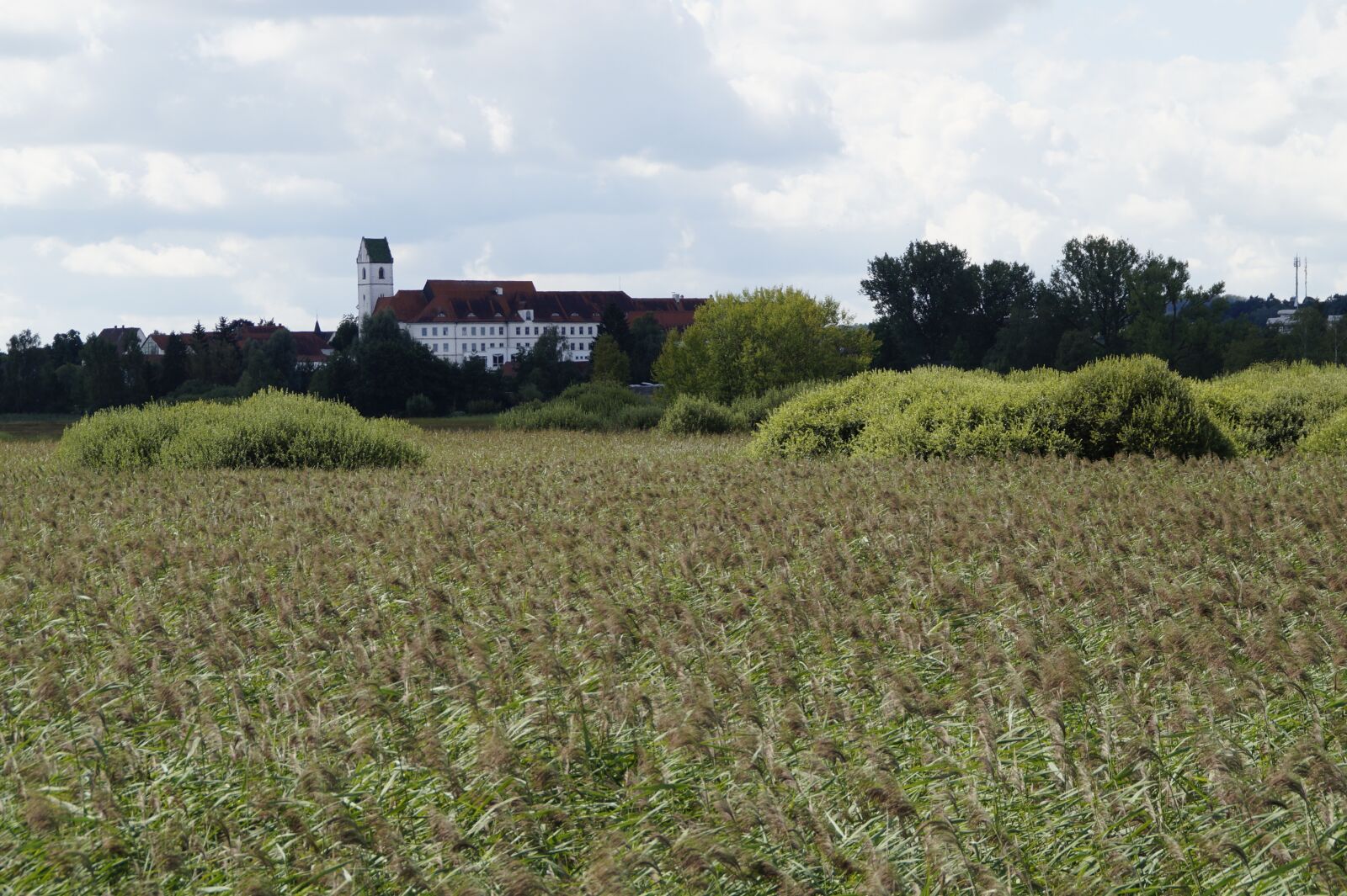 Sony SLT-A58 sample photo. Bad buchau, spring lake photography