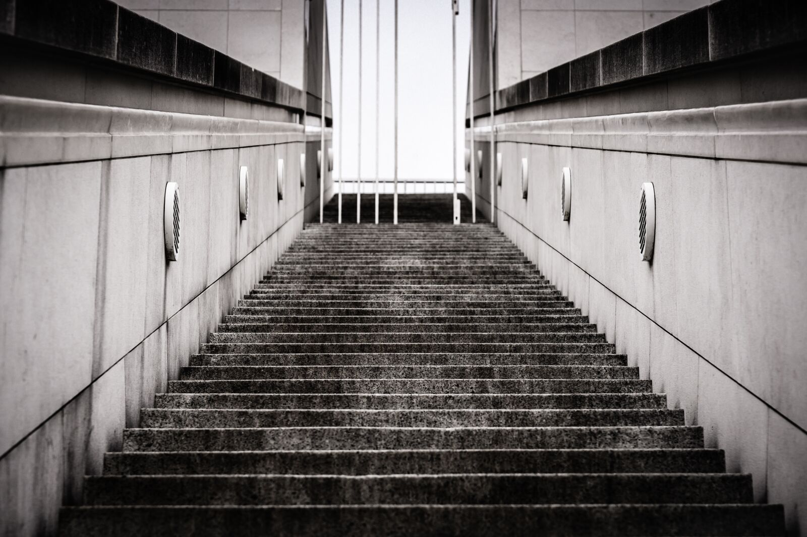 Nikon Z6 sample photo. Stairs, gradually, architecture photography