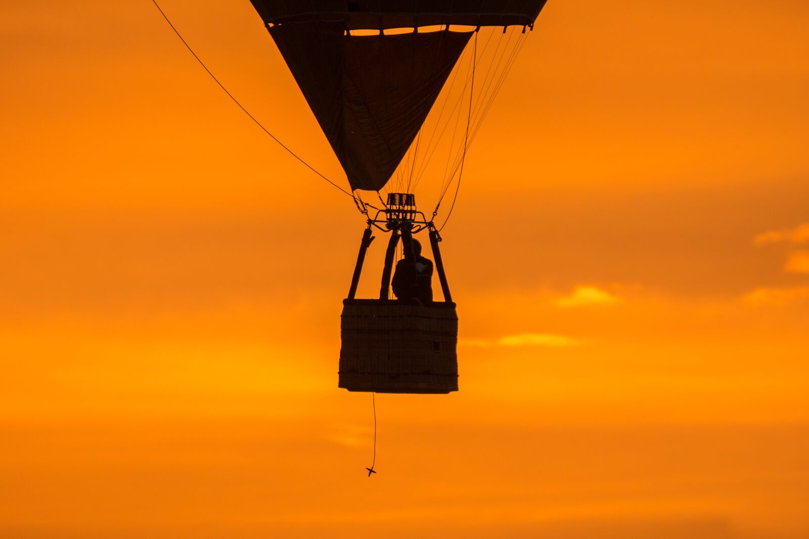 Canon EOS M100 sample photo. Hot air balloon, montgolfiade photography