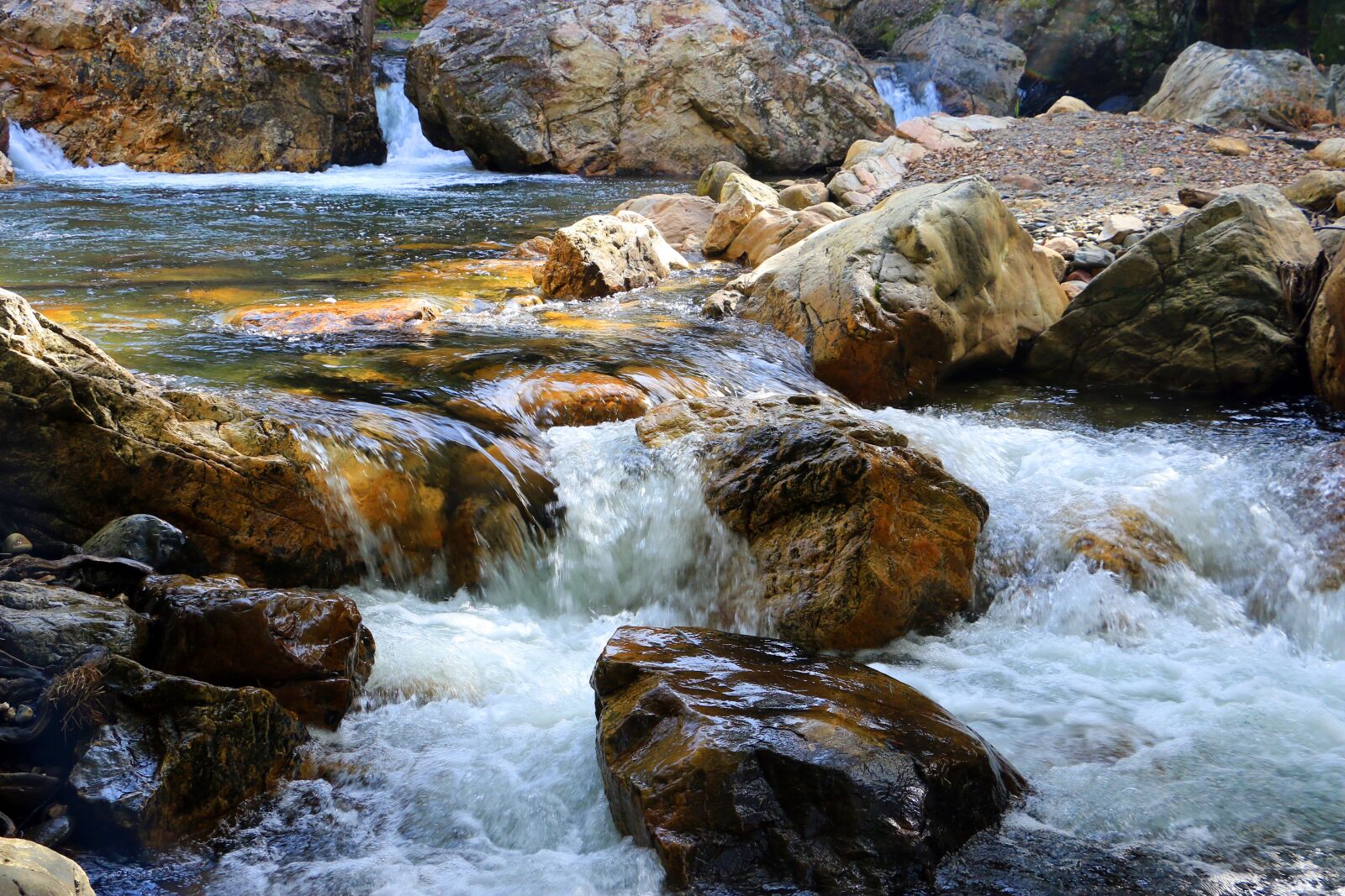 Canon EOS 70D sample photo. Agua, nature, figueiro photography