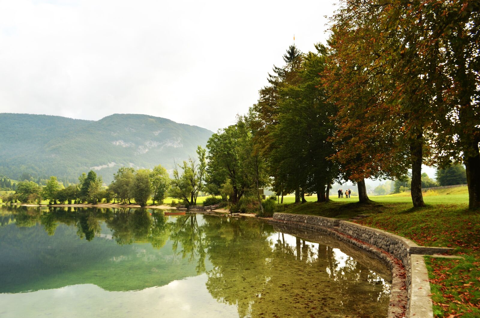 Nikon D5100 sample photo. Tree, lake, nature photography