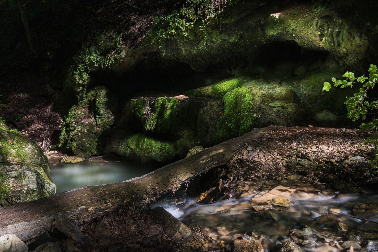 Canon EOS 750D (EOS Rebel T6i / EOS Kiss X8i) sample photo. Forest, lake, rocks photography