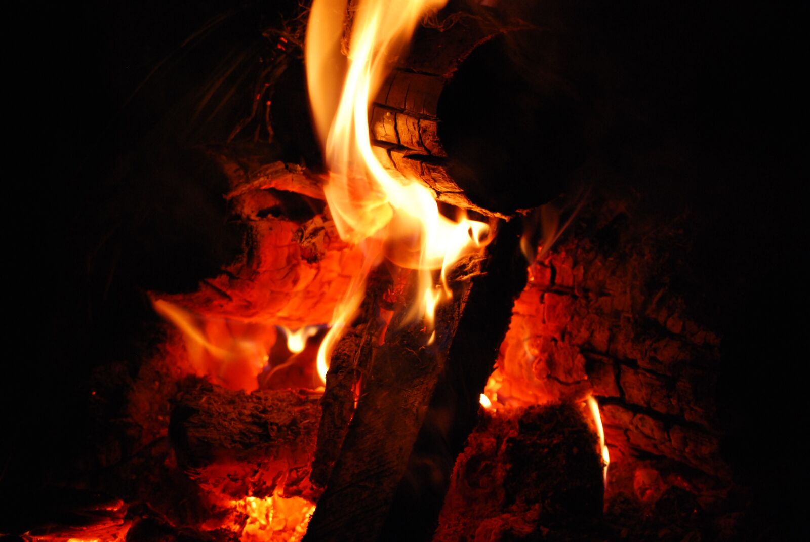 Nikon D60 sample photo. Fire, fire department, extinction photography