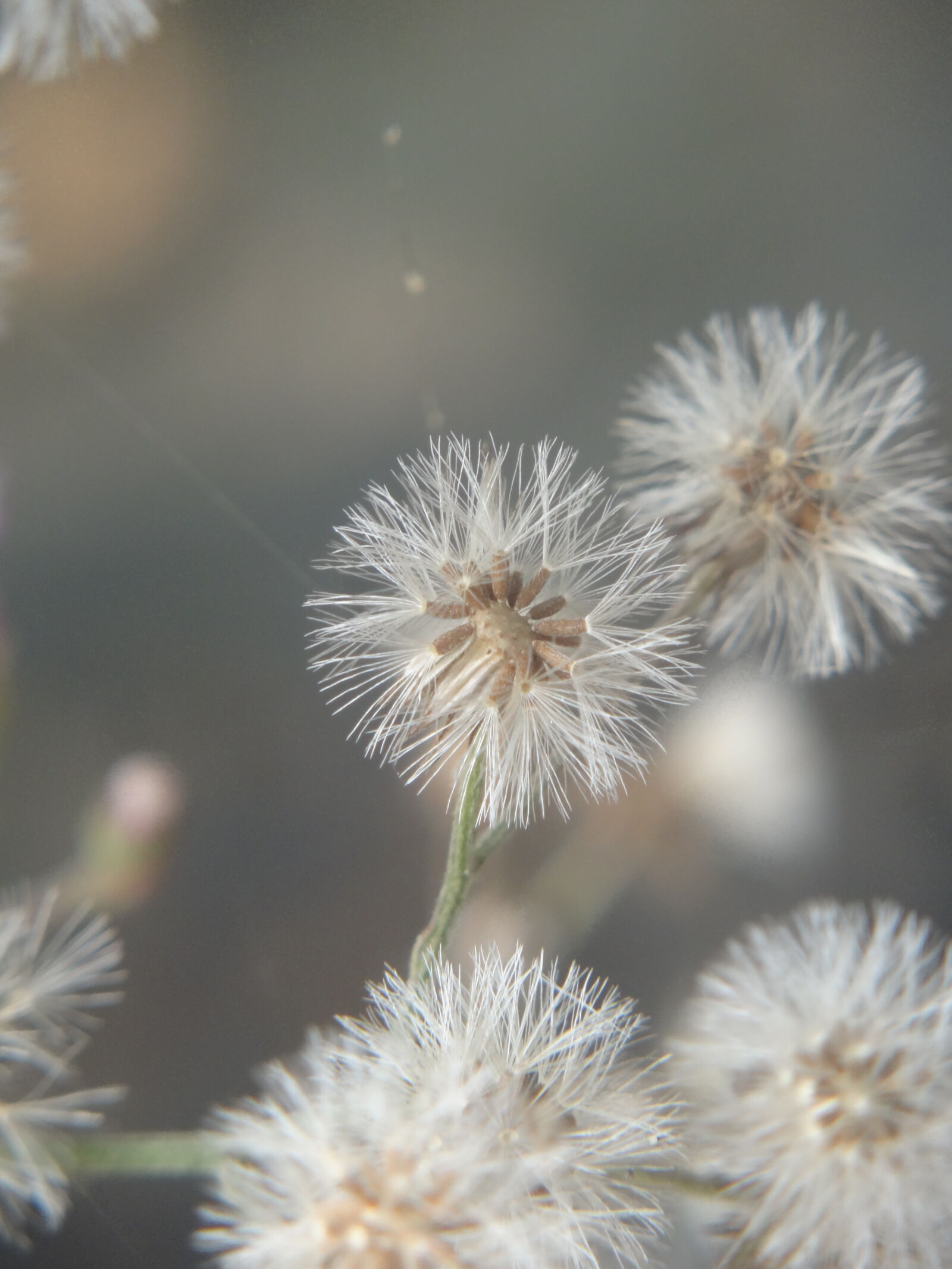 Sony Cyber-shot DSC-HX7V sample photo