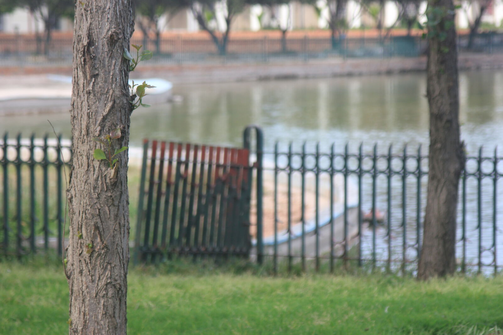 Canon EOS 550D (EOS Rebel T2i / EOS Kiss X4) sample photo. Nature, water, wood photography