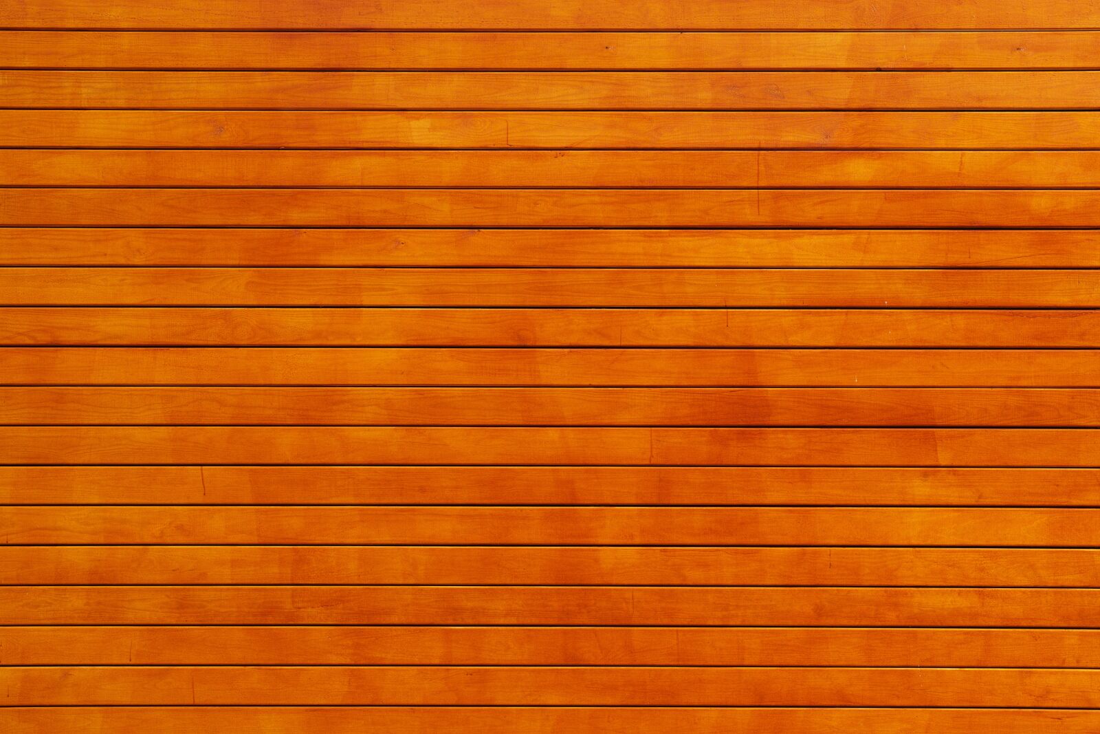Sigma DP3 Merrill sample photo. Wood, red, yellow photography