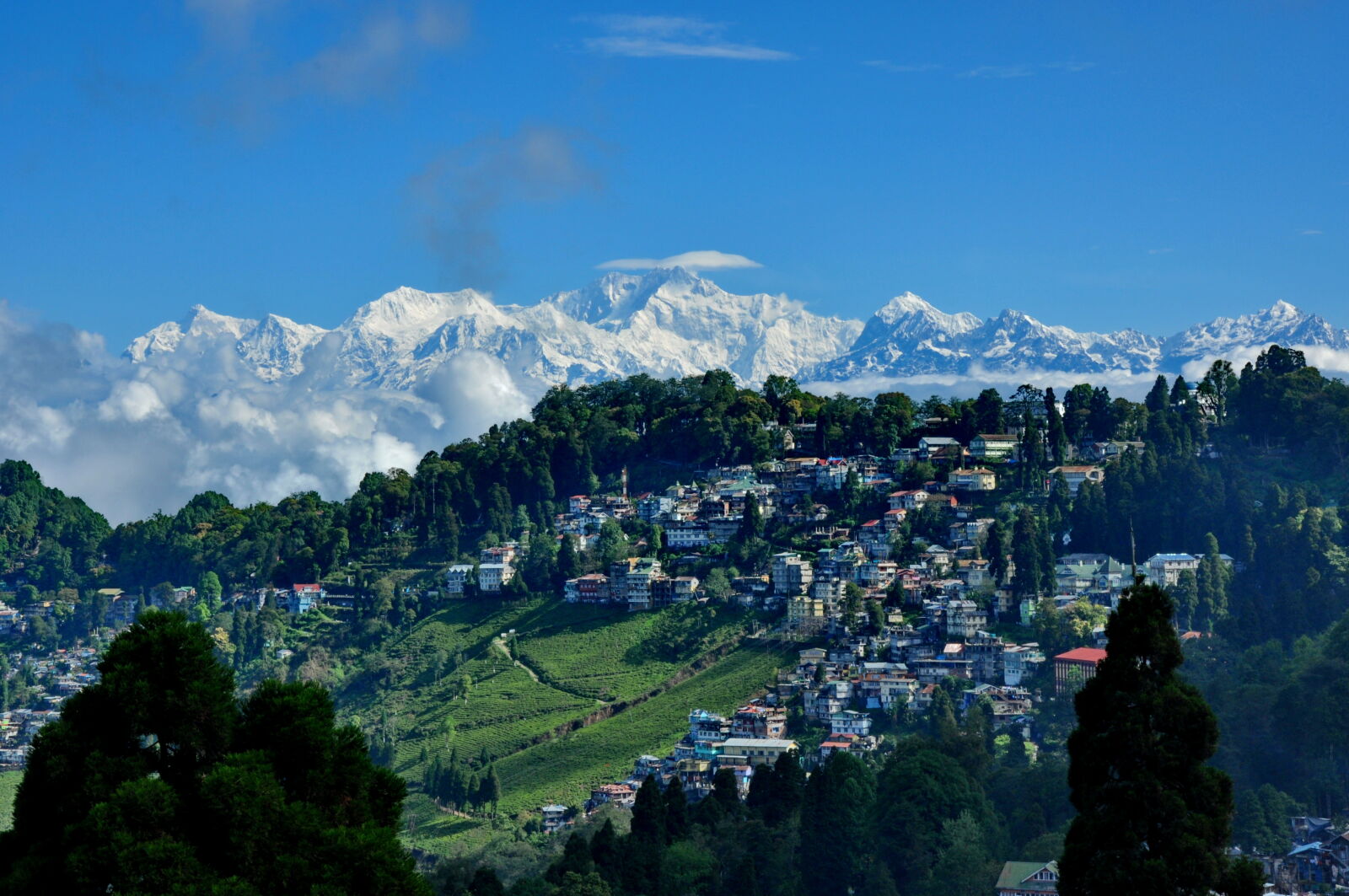 Nikon D90 sample photo. Darjeeling photography