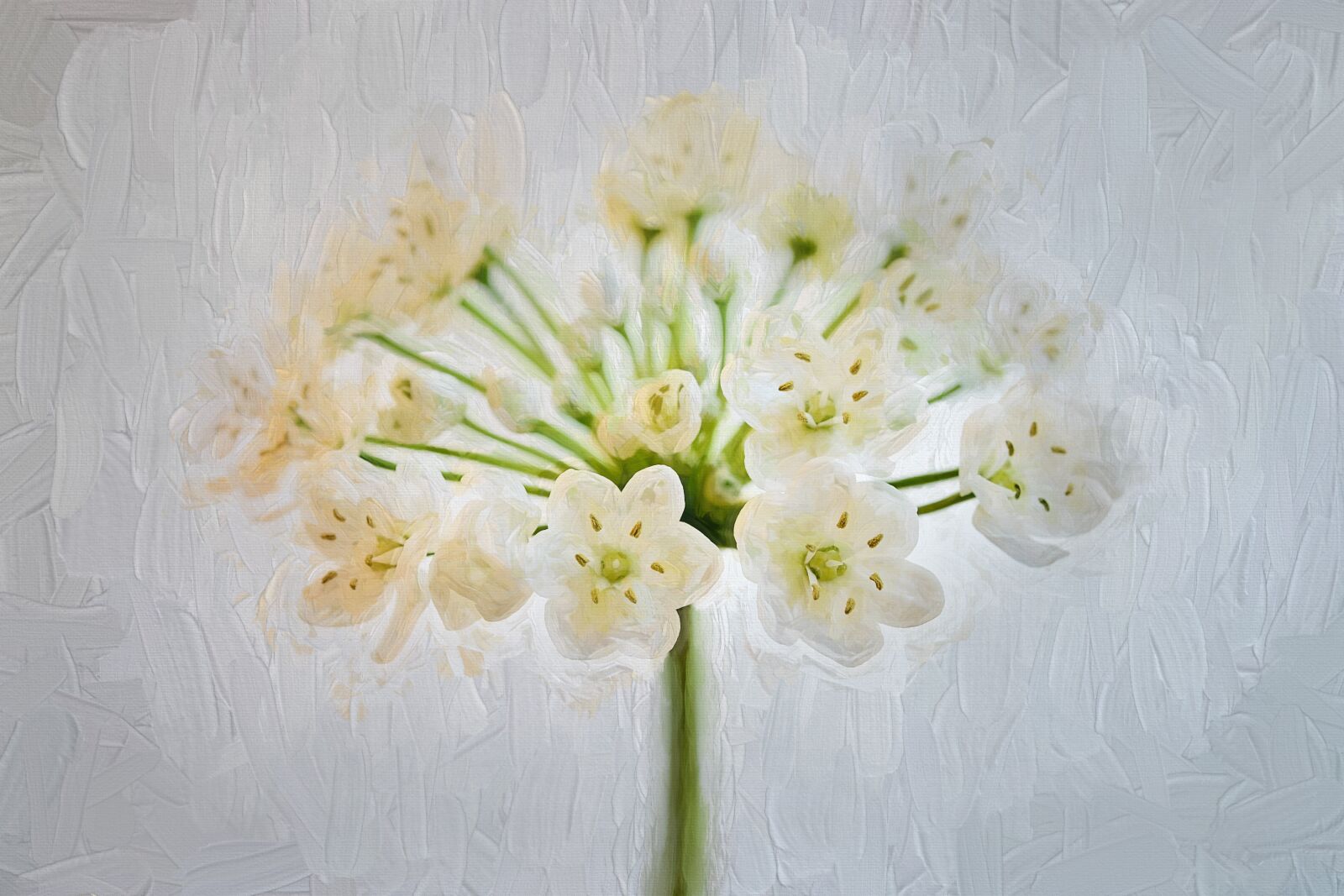 Nikon D7100 sample photo. Painting, flower, white photography