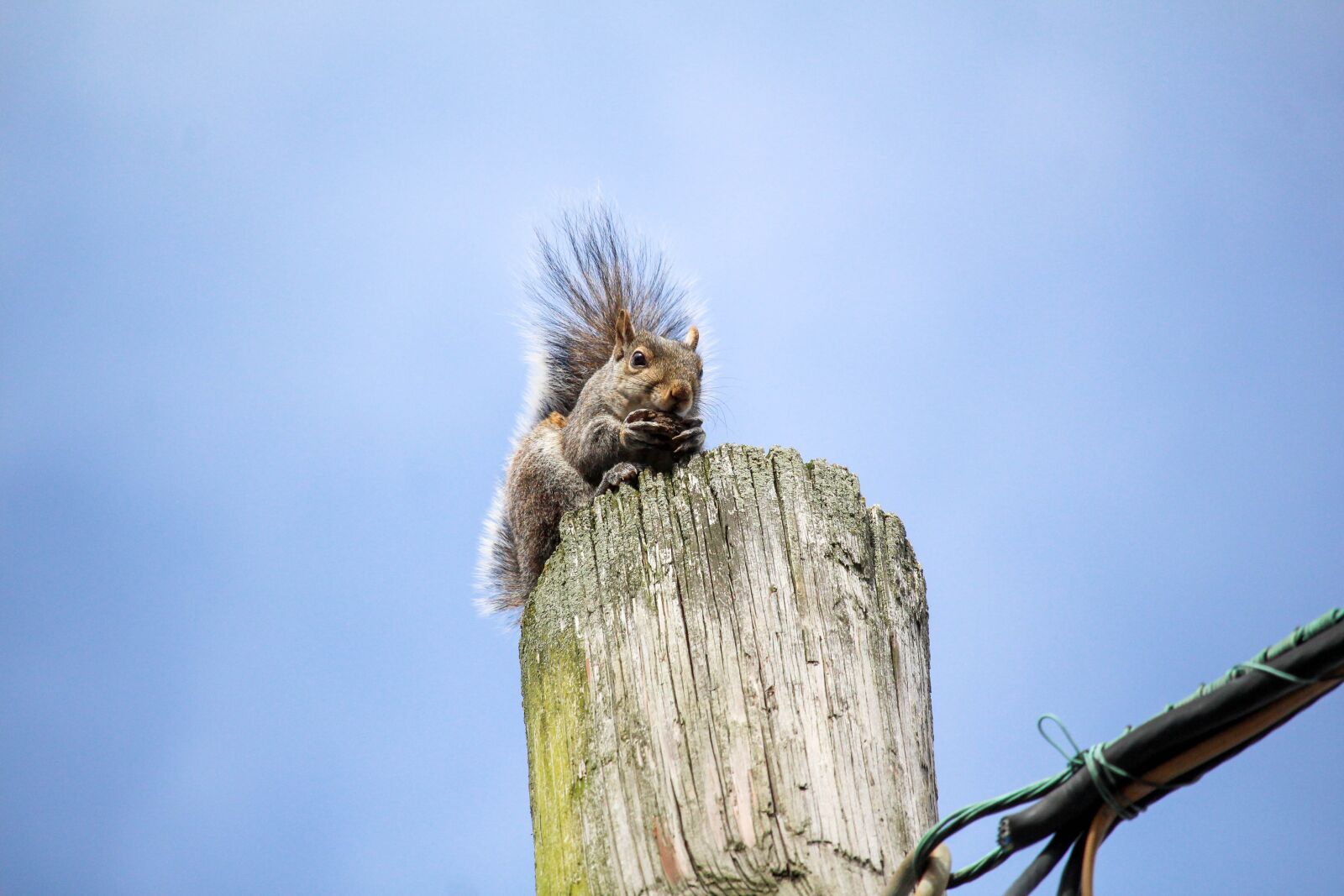 Canon EOS 700D (EOS Rebel T5i / EOS Kiss X7i) sample photo. Nature, outdoors, sky photography