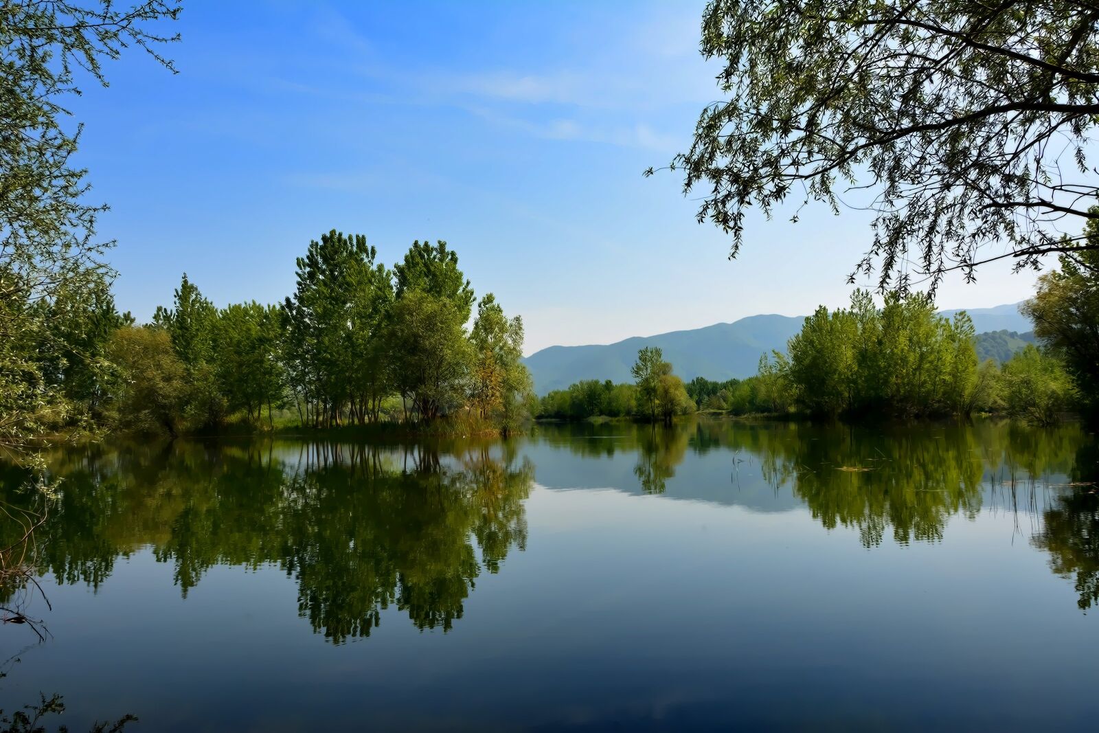 Nikon D7100 sample photo. Nature, sakarya, ponds photography