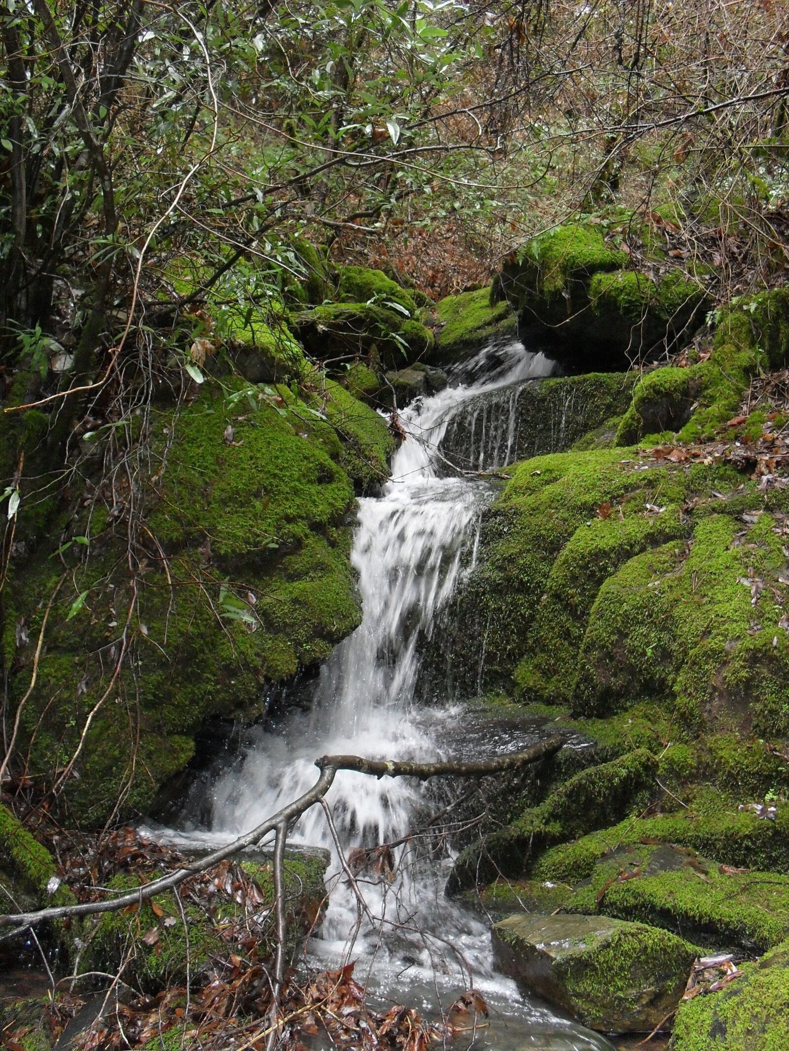 Samsung ES15 / VLUU ES15 /  SL30 sample photo. Waterfall, forest, nature photography