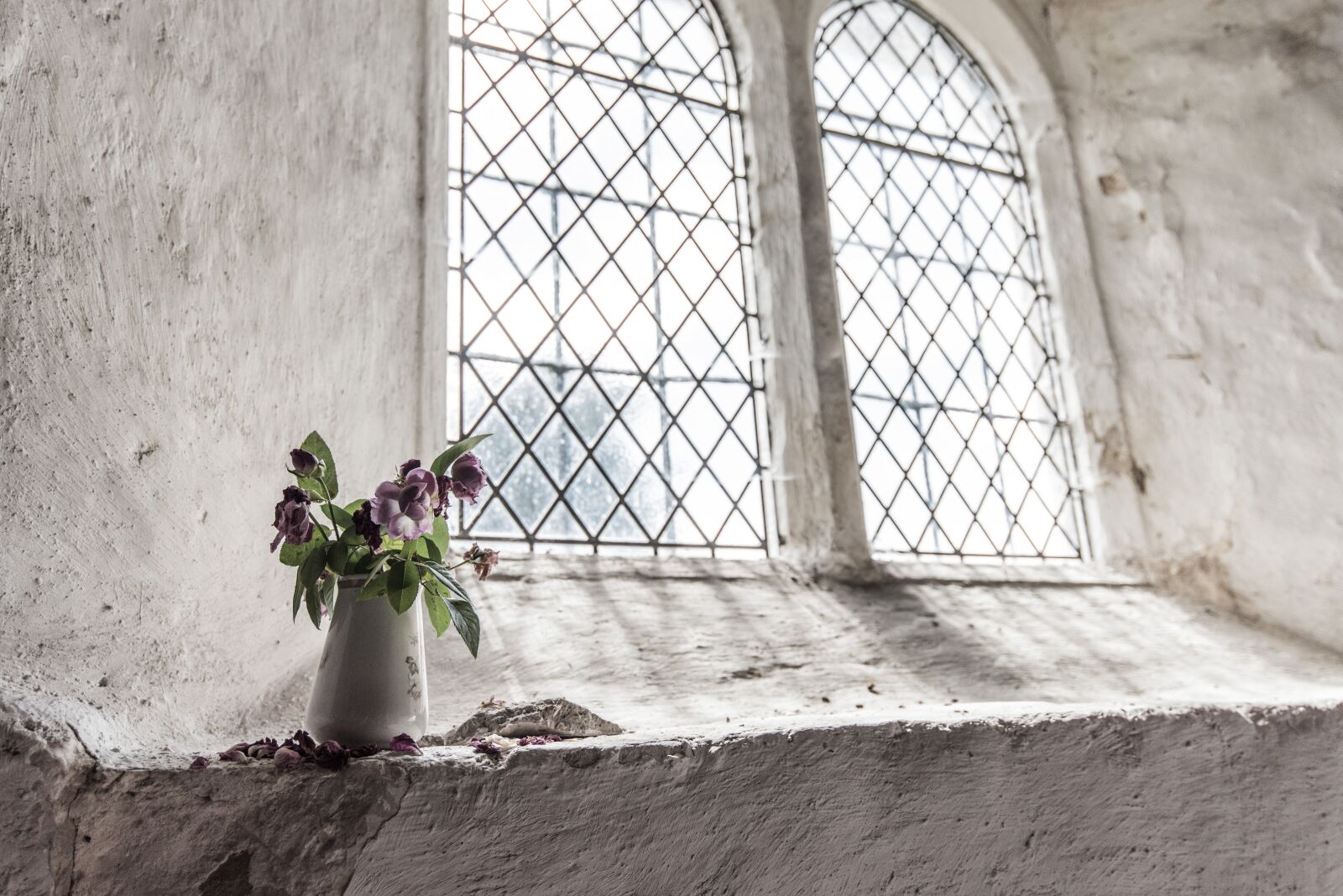 Nikon D750 sample photo. Window, sunlight, flowers photography