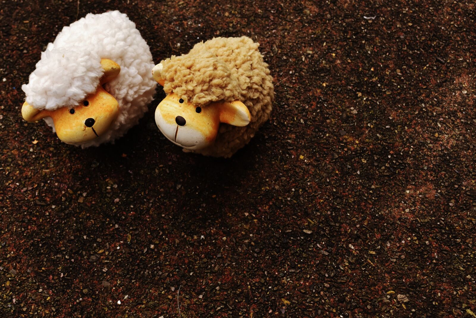 Nikon D7200 sample photo. Sheep, animals, deco photography