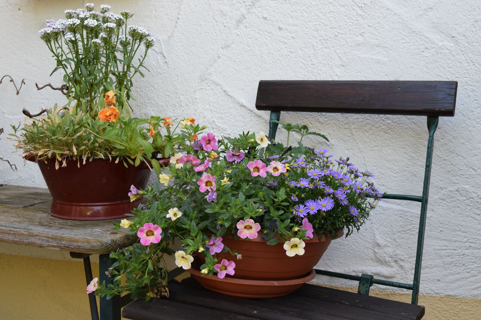 Nikon D3300 sample photo. Decoration, still life, flowers photography