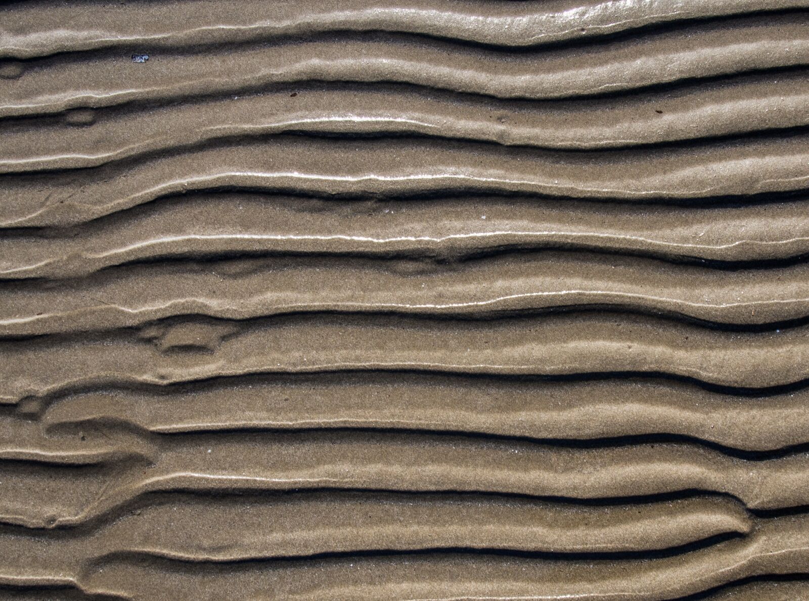 Olympus PEN E-PL5 sample photo. Model, beach, sand photography