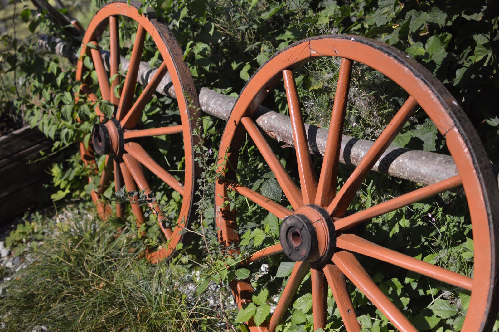 Nikon D3200 sample photo. Wheels, wheel, nature photography
