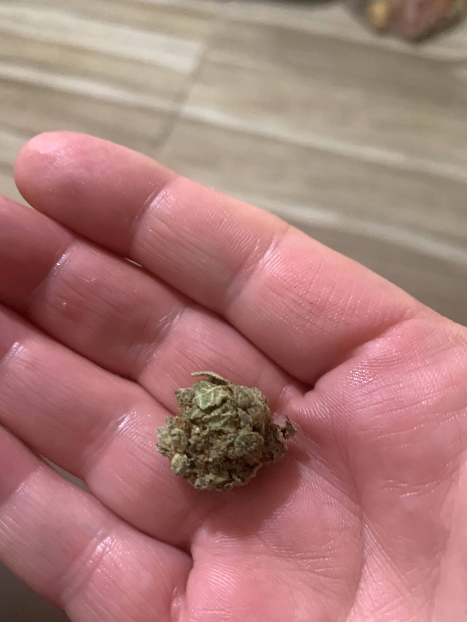 iPhone XR back camera 4.25mm f/1.8 sample photo. Marijuana, medical marijuana, cannabis photography