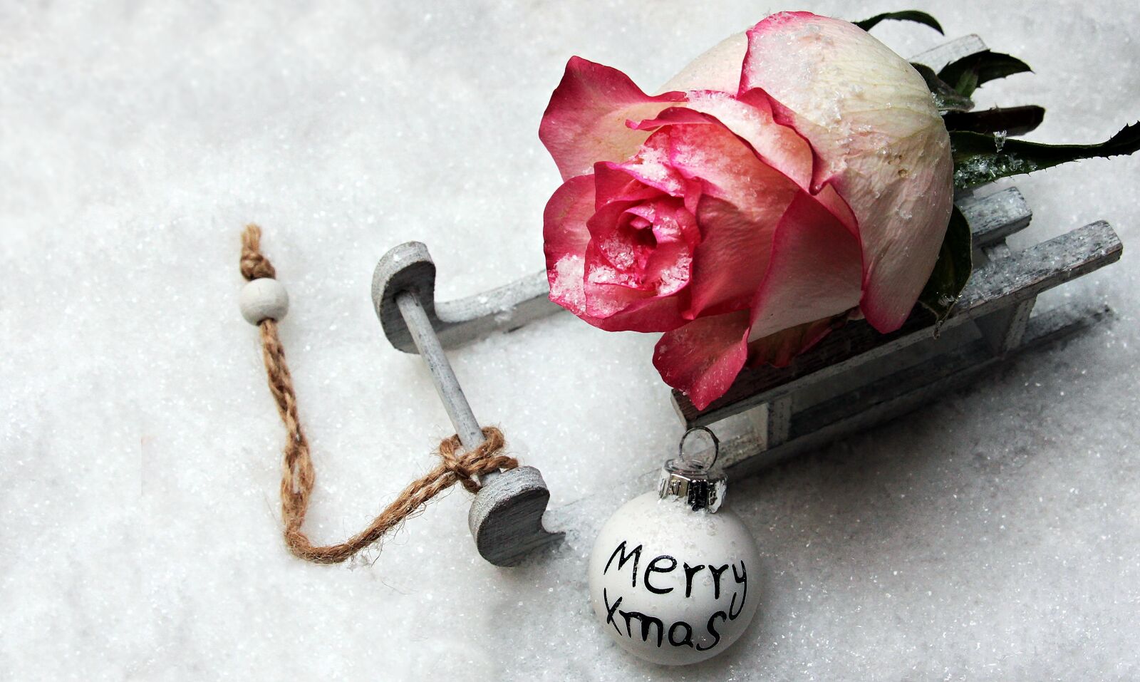 Canon EOS 550D (EOS Rebel T2i / EOS Kiss X4) sample photo. Slide, toboggan, rose photography