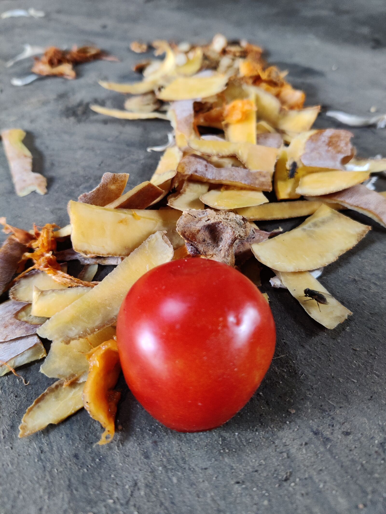 OnePlus AC2001 sample photo. Tomato, garbage, beautiful garbage photography