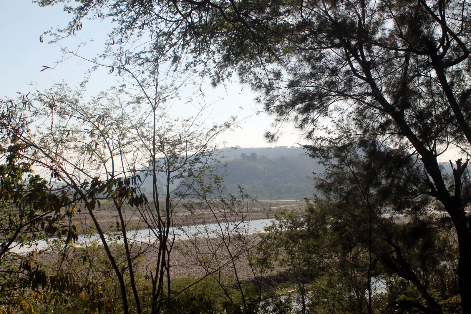 Canon EOS 1100D (EOS Rebel T3 / EOS Kiss X50) sample photo. The tree, wood, nature photography