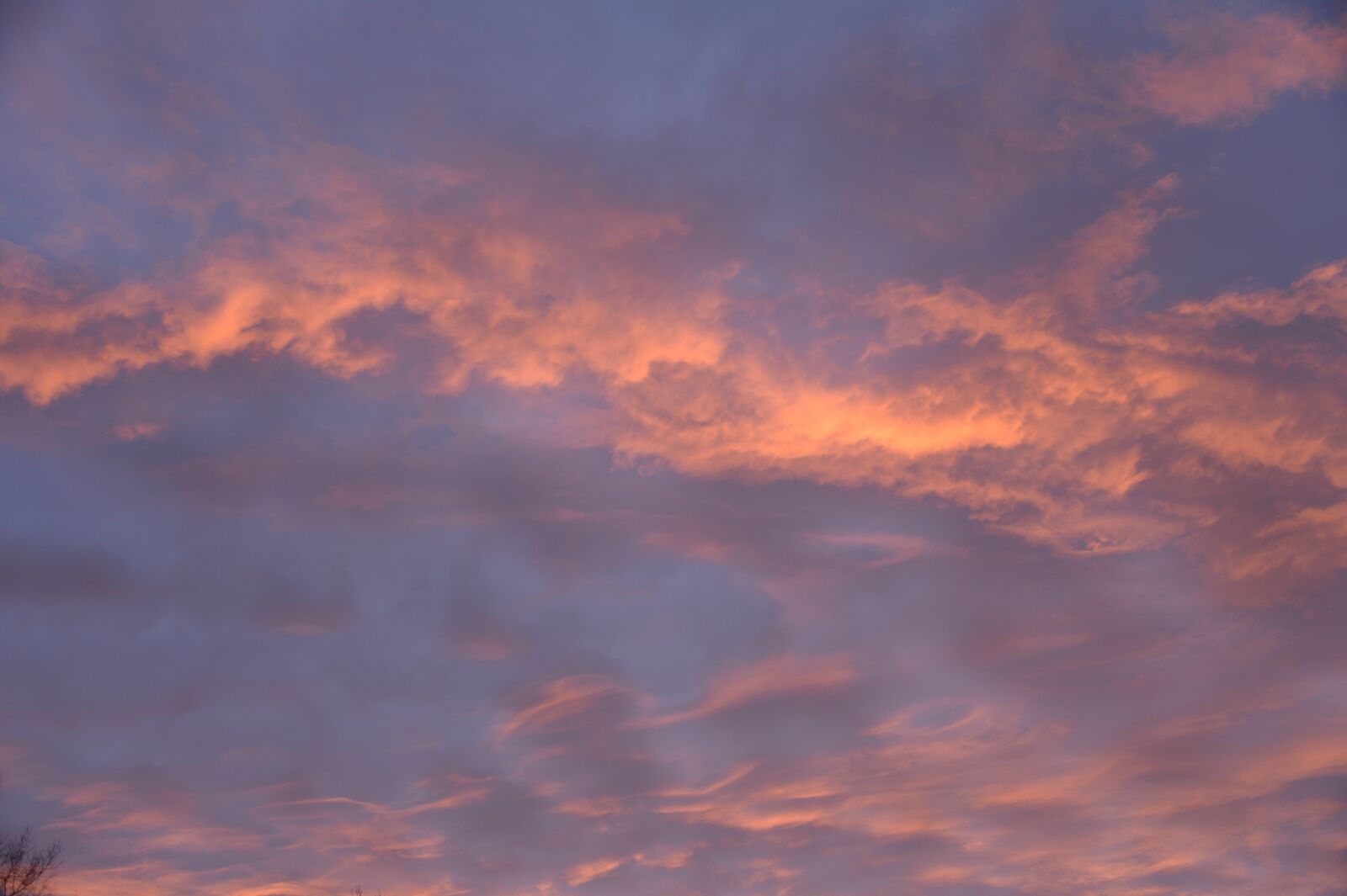 Nikon D4 sample photo. Red sky, cloud, twilight photography