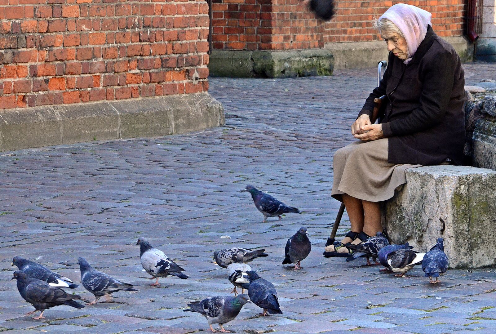 Nikon D5100 sample photo. Old, lady, woman photography