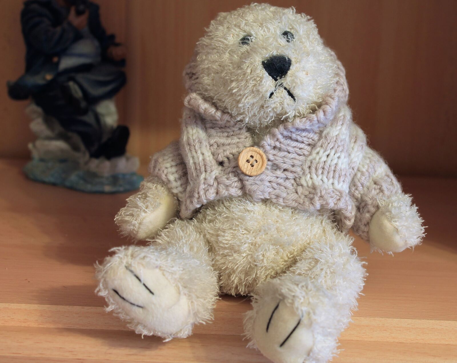 Canon EOS 1100D (EOS Rebel T3 / EOS Kiss X50) sample photo. Teddy, bear, plush photography
