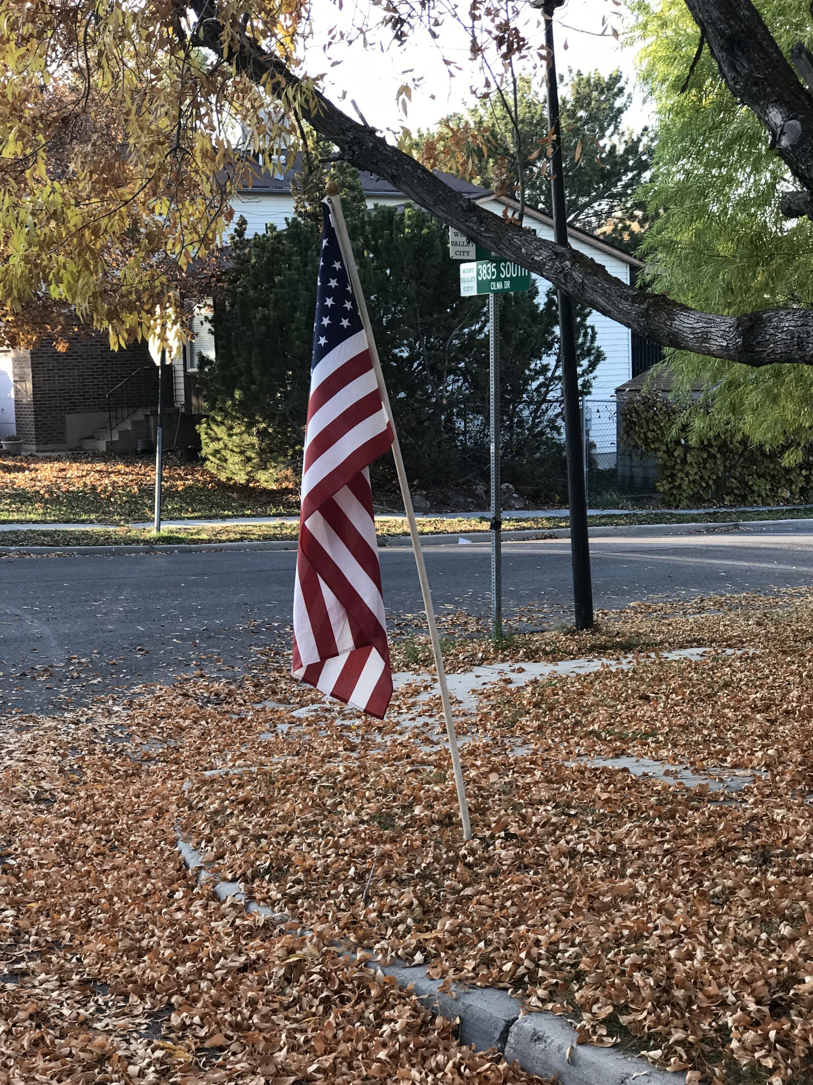 iPhone 7 Plus back iSight Duo camera 6.6mm f/2.8 sample photo. American, flag, leaves photography
