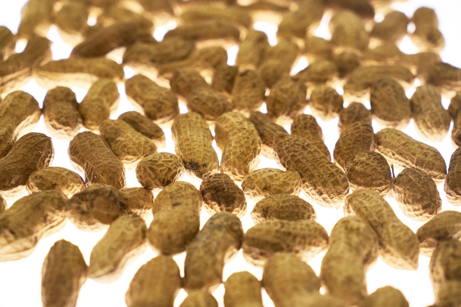 Sony a7R II sample photo. Peanut, peanuts, shelled photography