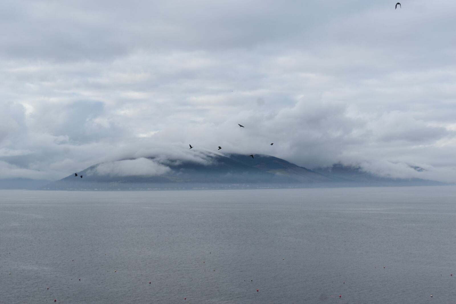Nikon D5500 sample photo. Mist, river, birds photography