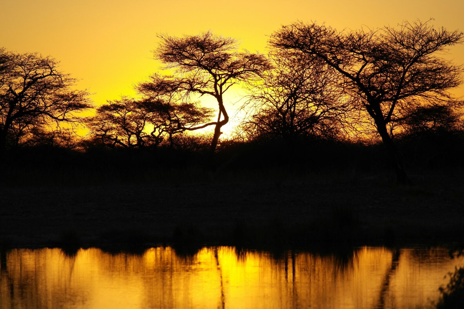 Samsung NX20 sample photo. Africa, sunset, landscape photography